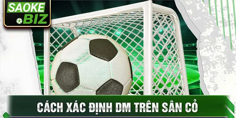 Cách xác định dm trên sân cỏ