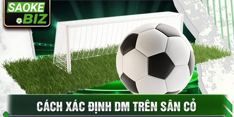 Cách xác định dm trên sân cỏ